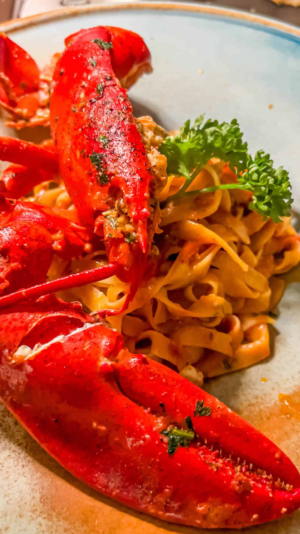 A plate of Venetian Lobster Busara pasta.
