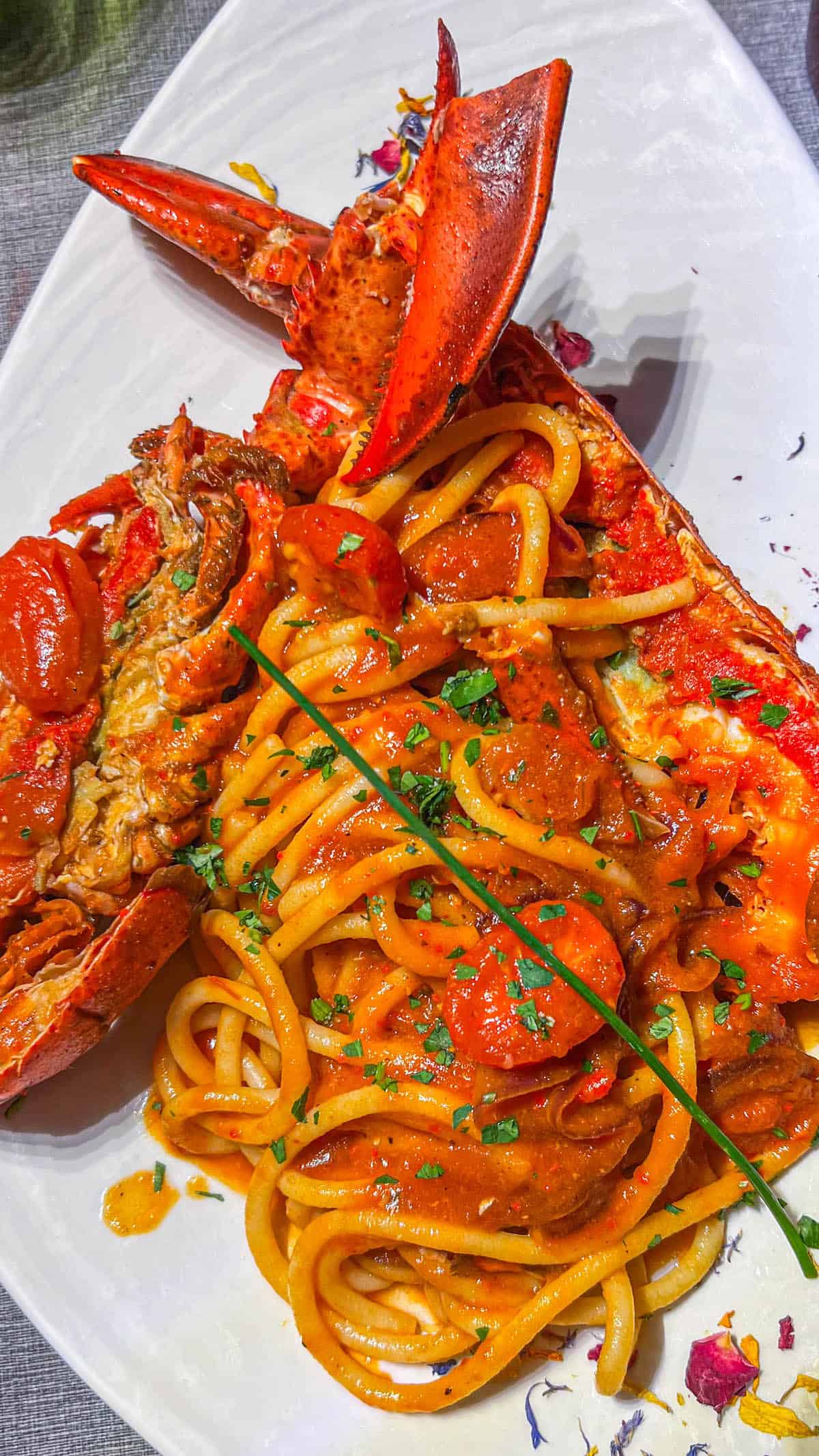 A plate of Lobster Pasta Busara, with a lobster on it.