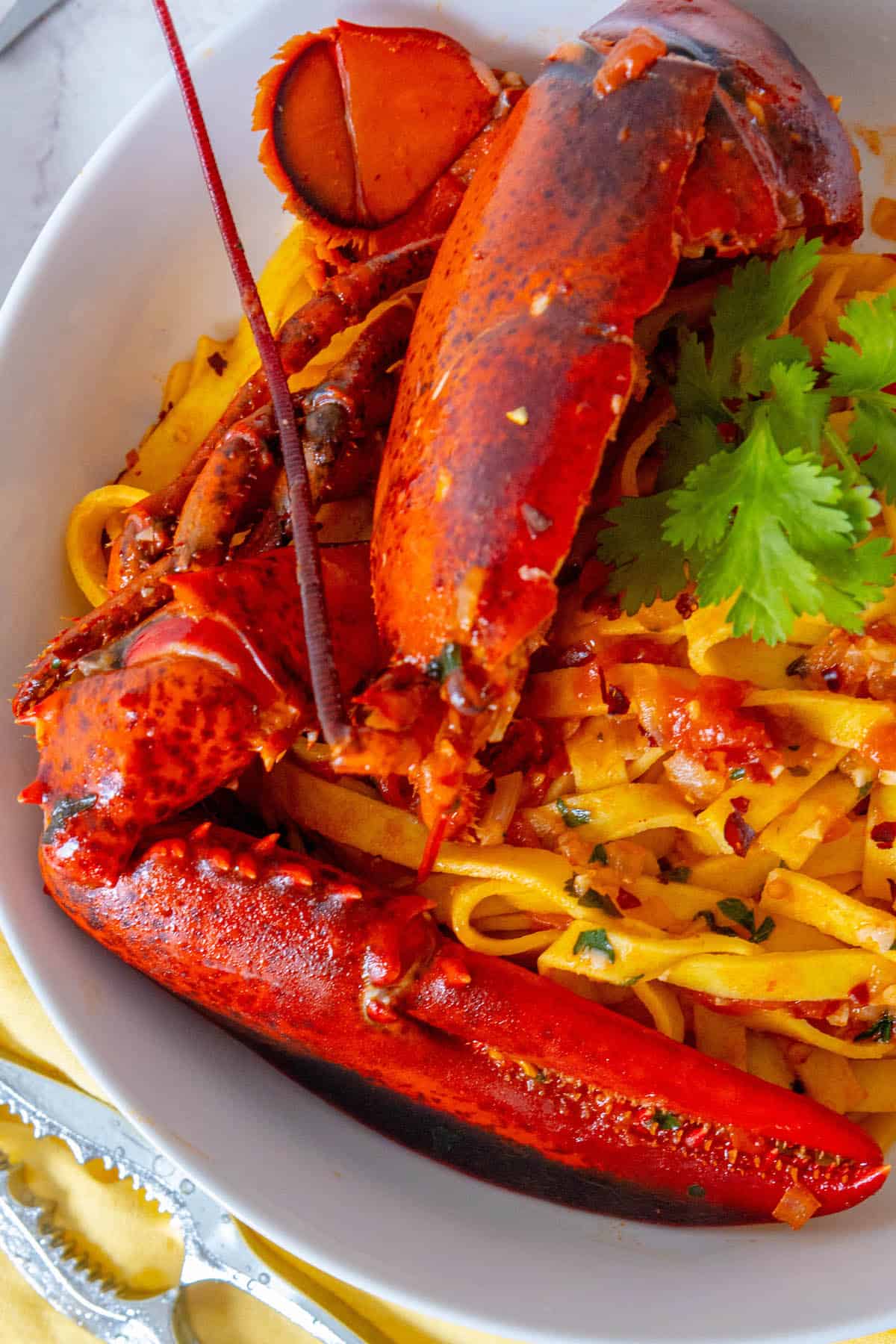 Venetian Lobster Busara in a white bowl.