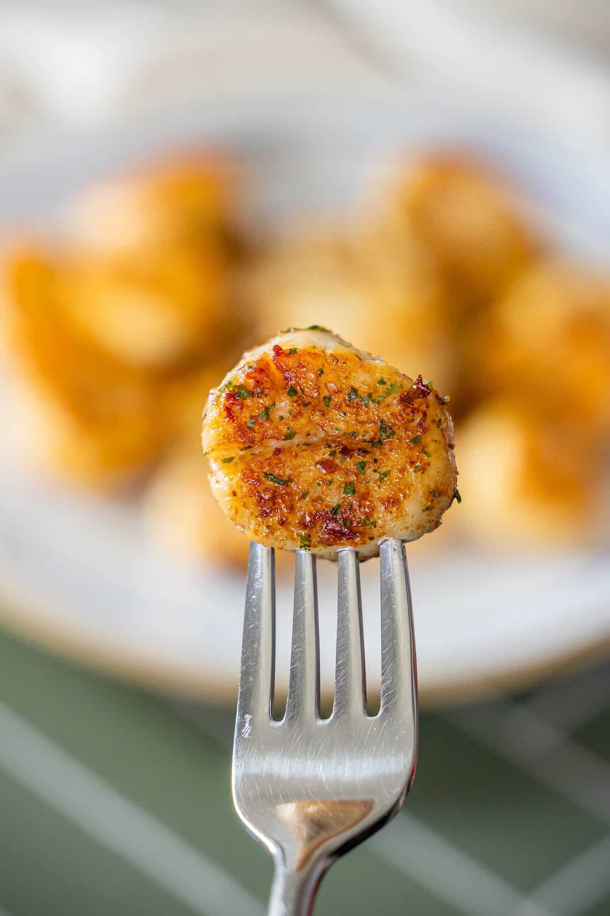 A cooked, seasoned Perfect Pan Seared Scallop is held on a fork, with more scallops blurred on a plate in the background.