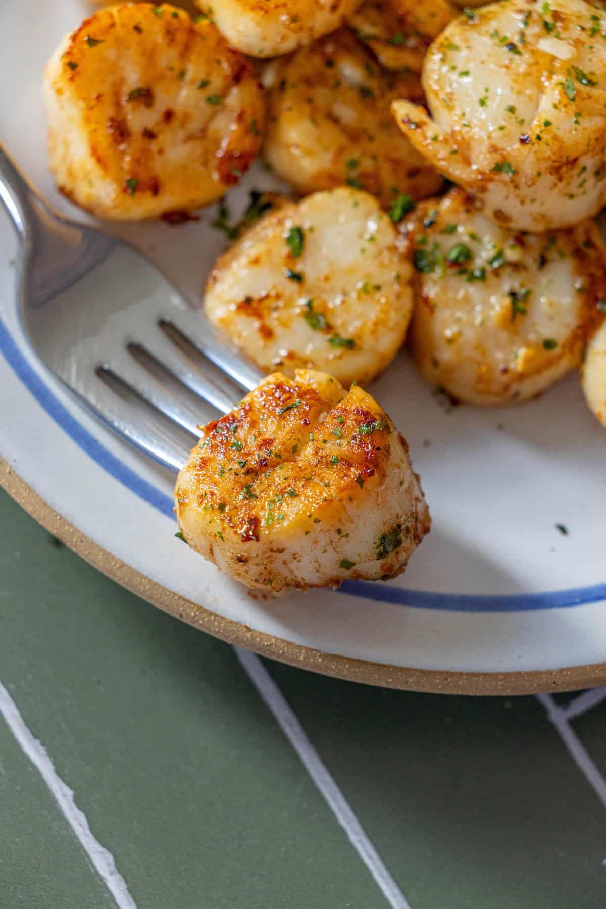 A plate of perfect pan seared scallops garnished with herbs, with one scallop in the foreground and a fork resting on the plate.