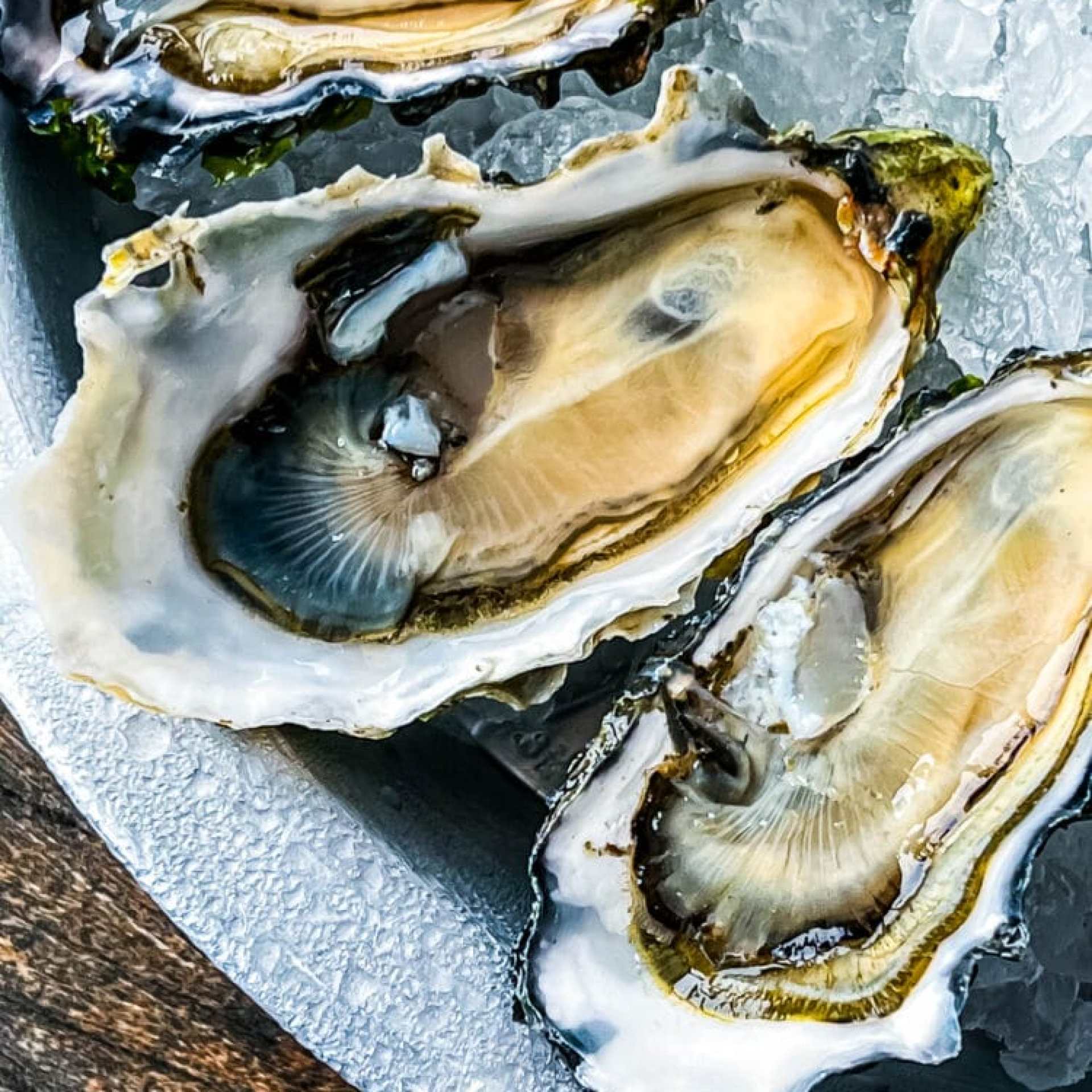 picture of oysters on a metal plate with ice at the marshall store restaurant