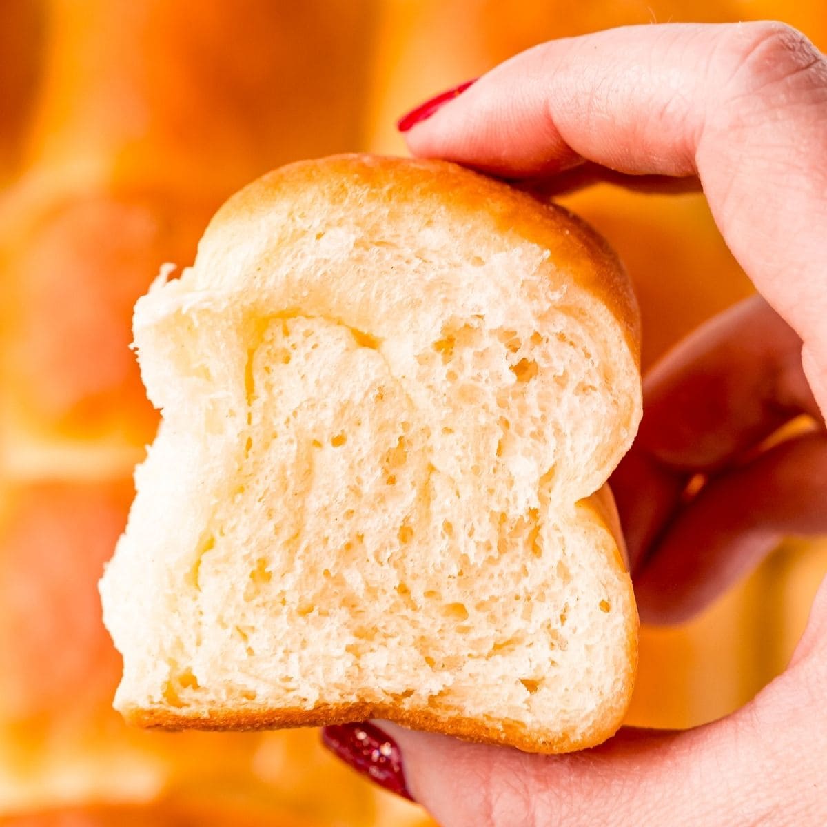 A person showcasing a Buttery Soft Dinner Rolls recipe.